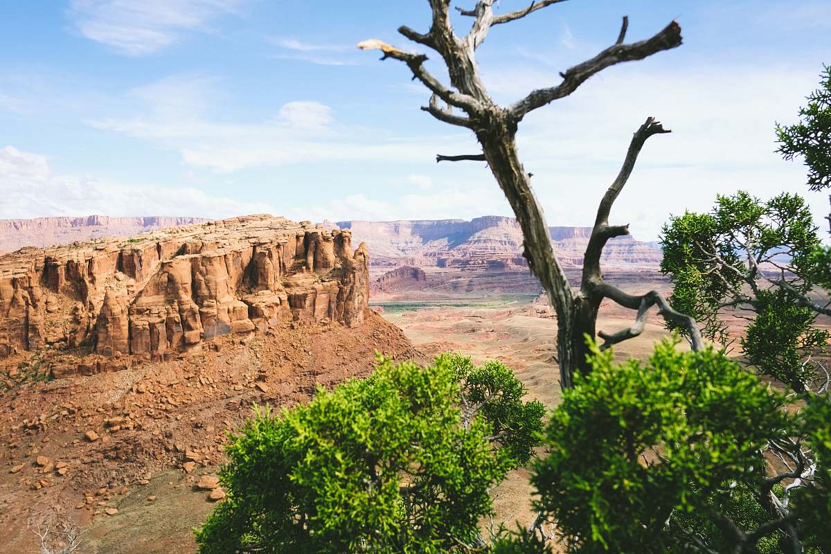 united states aerial view photography of rock formation at the desert moab